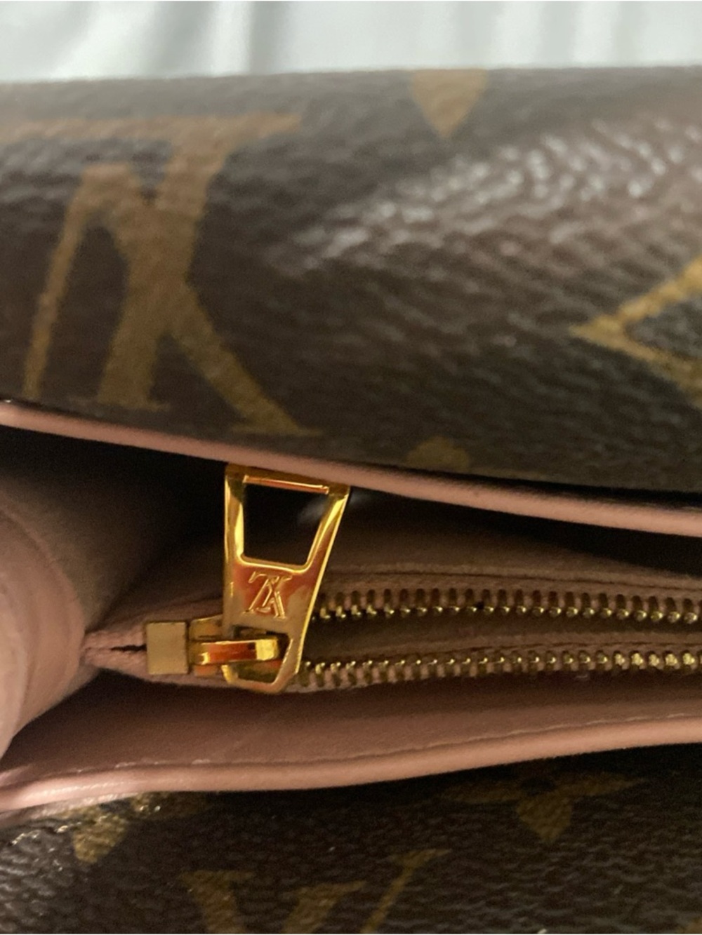 Louis Vuitton Rose Ballerine Leather and Monogram Coated Canvas Double V Bag - Picture 9 of 10
